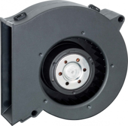 DC radial fan, 24 V, 97 x 93.5 x 33 mm, 56 m³/h, 66 dB, ball bearing, ebm-papst, RL 65-21/14