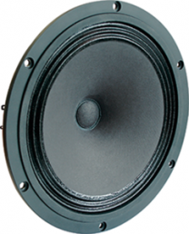 High-end full range speaker, 6 Ω, 96 dB, 40 Hz to 18 kHz, black