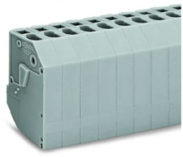 Transformer terminal block, 10 pole, straight, 25 A, 800 V, spring-cage connection, 711-160