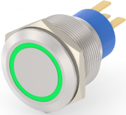 Switch, 1 pole, silver, illuminated  (green), 0.4 A/250 VAC, mounting Ø 22.2 mm, IP67, 1-2213772-4